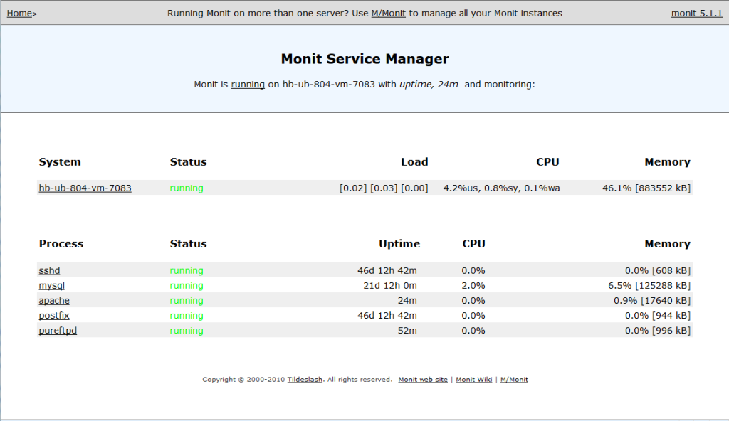 Monit Service Manager